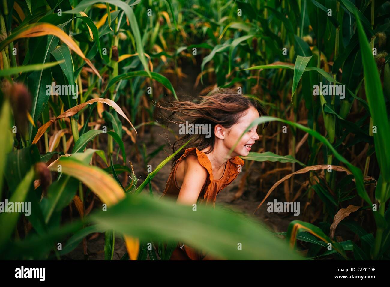 Ragazza che corre attraverso un campo di mais, Stati Uniti Foto Stock