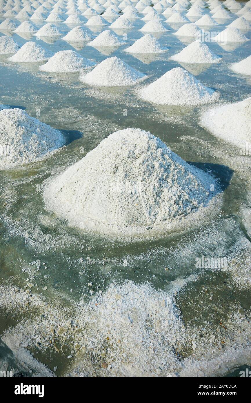 Campo di sale pronto per essere raccolto in fattoria di sale a Ban Laem-Thailandia Foto Stock