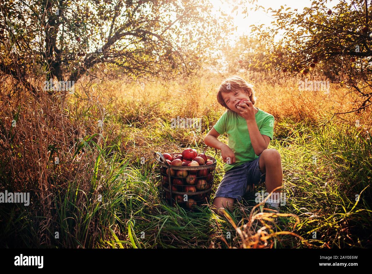 Ragazzo seduto in un frutteto che mangia una mela, USA Foto Stock
