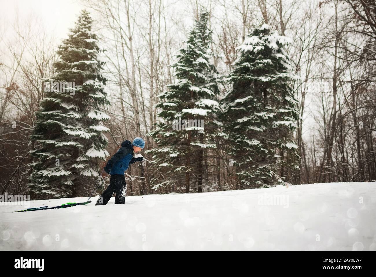 Ragazzo che tira una slitta su una collina nella neve, Wisconsin, Stati Uniti Foto Stock