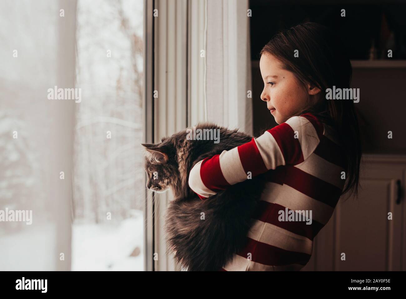 Ragazza in piedi da una finestra coccolando il suo gatto Foto Stock