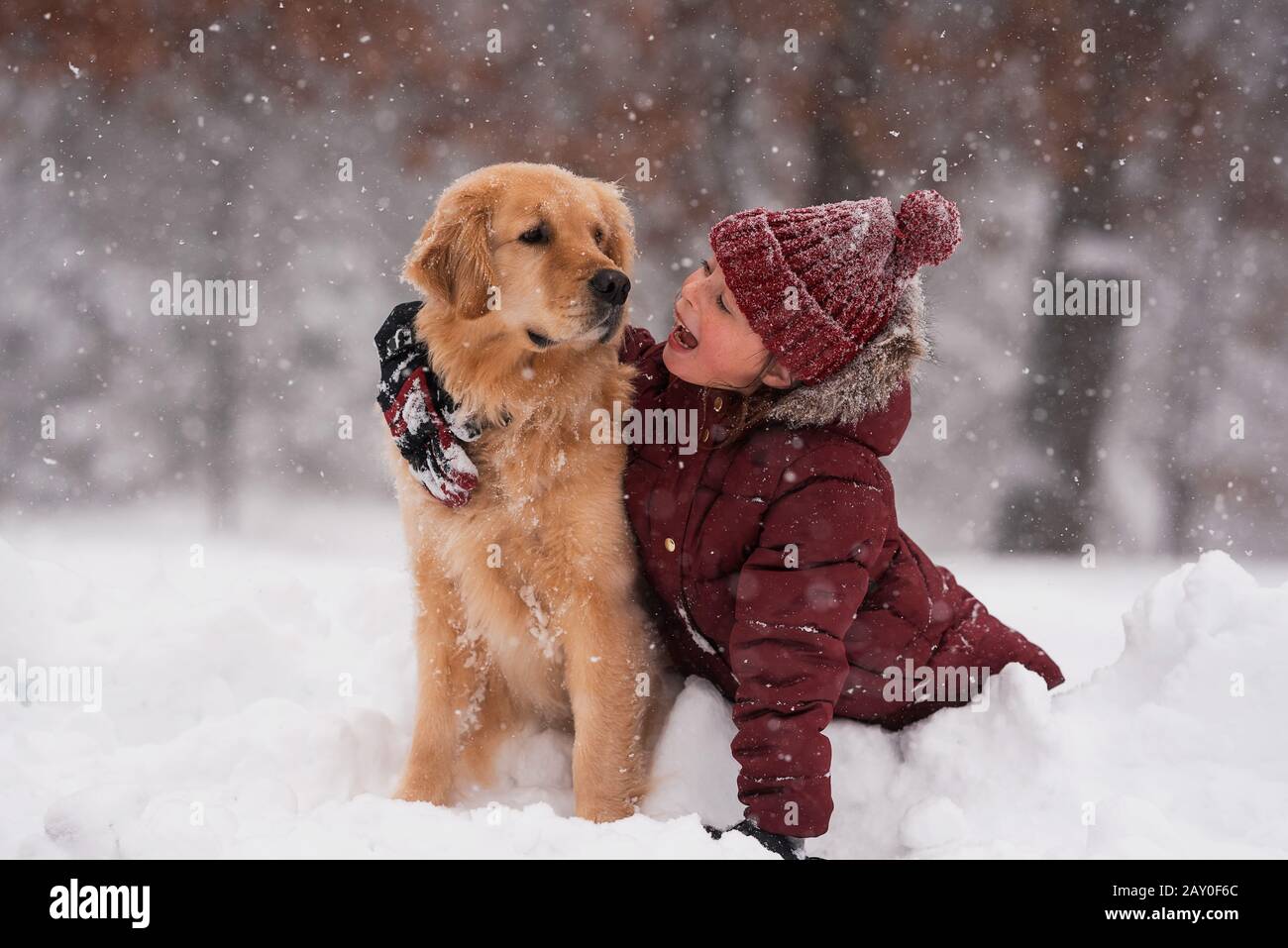 Ragazza seduta nella neve coccolando il suo cane Golden Retriever, Wisconsin, Stati Uniti Foto Stock