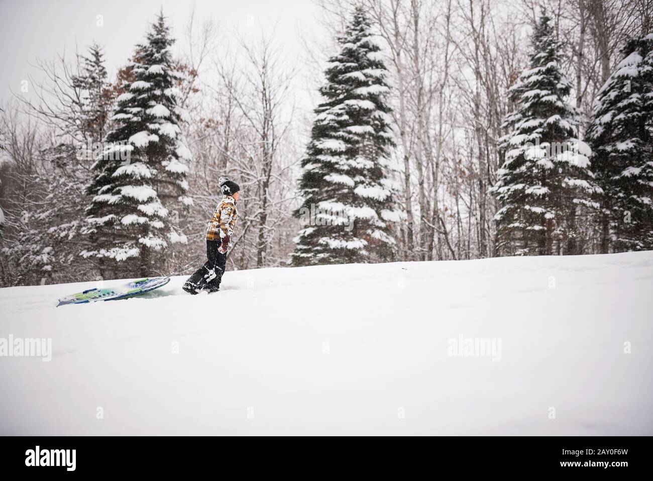 Ragazzo che tira una slitta su una collina nella neve, Wisconsin, Stati Uniti Foto Stock