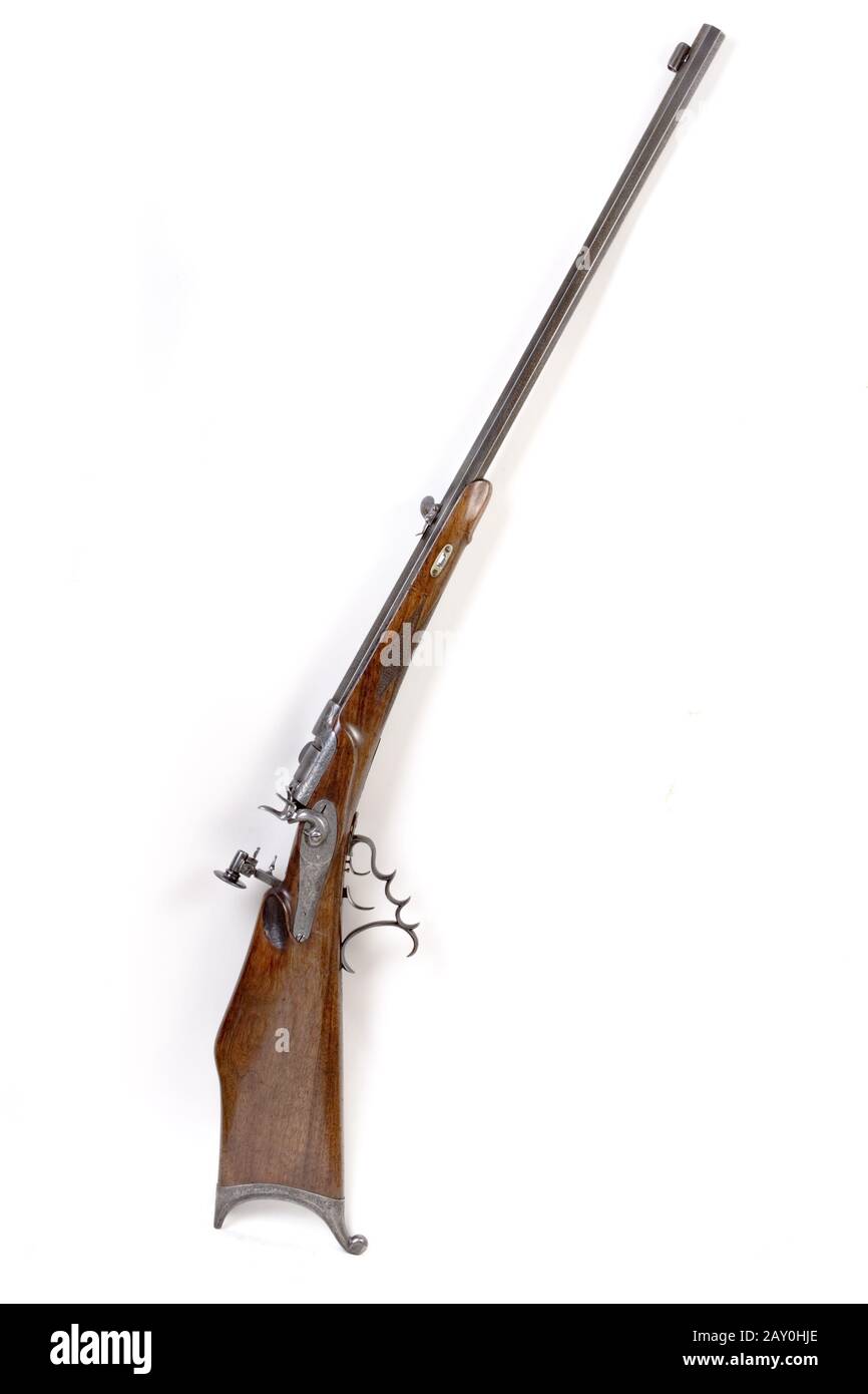 Werndl fucile di supporto calibro 1876 9mm - pistola Werndl 1876 Foto Stock