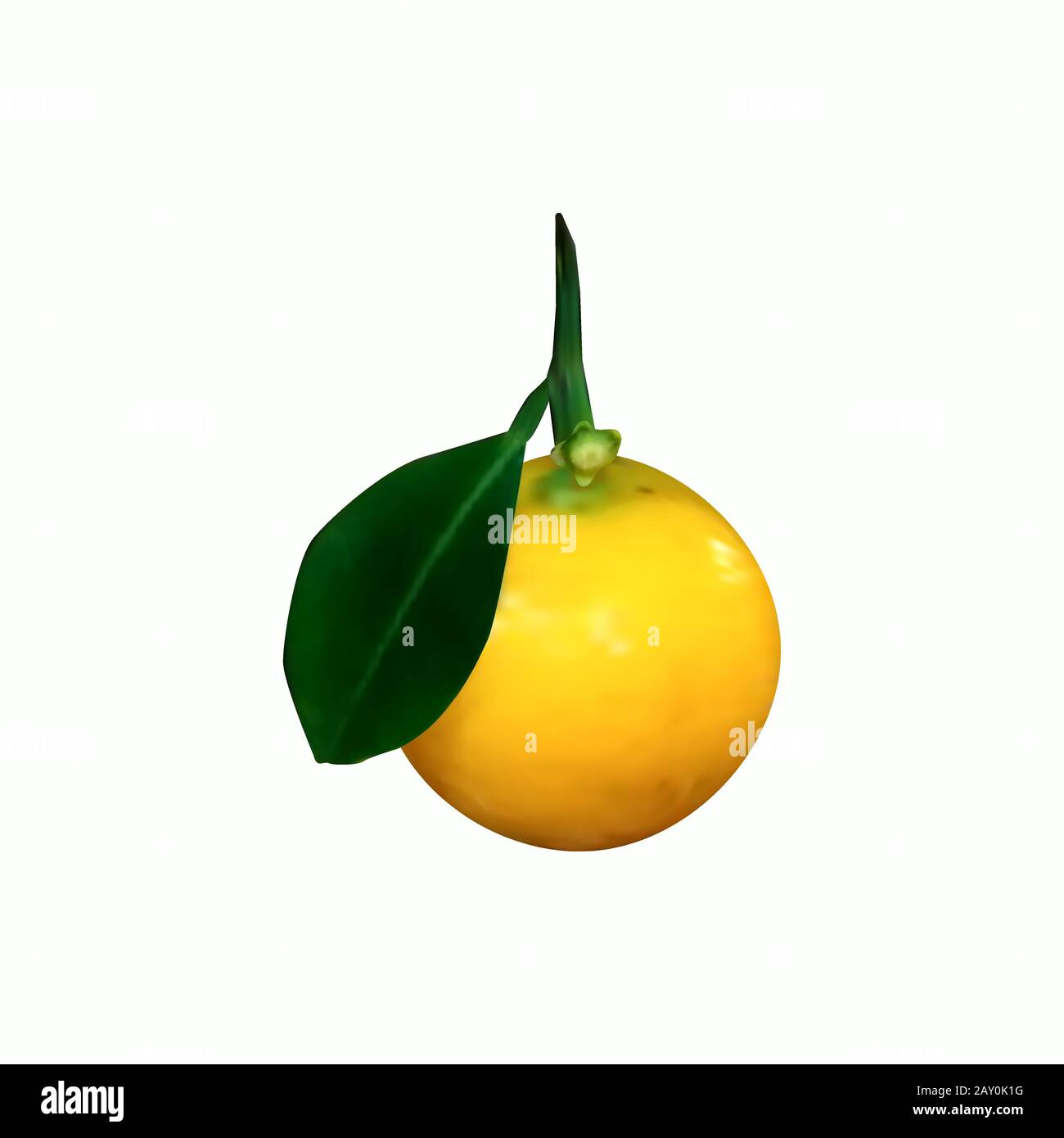 Mandarino fresco con uscita verde. Illustrazione vettoriale eps10 Illustrazione Vettoriale