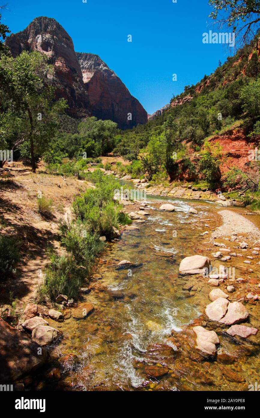 Virgin River attraversa lo Zion National Park nello Utah, Stati Uniti. Escursioni avventure, viaggi, natura selvaggia. Foto Stock