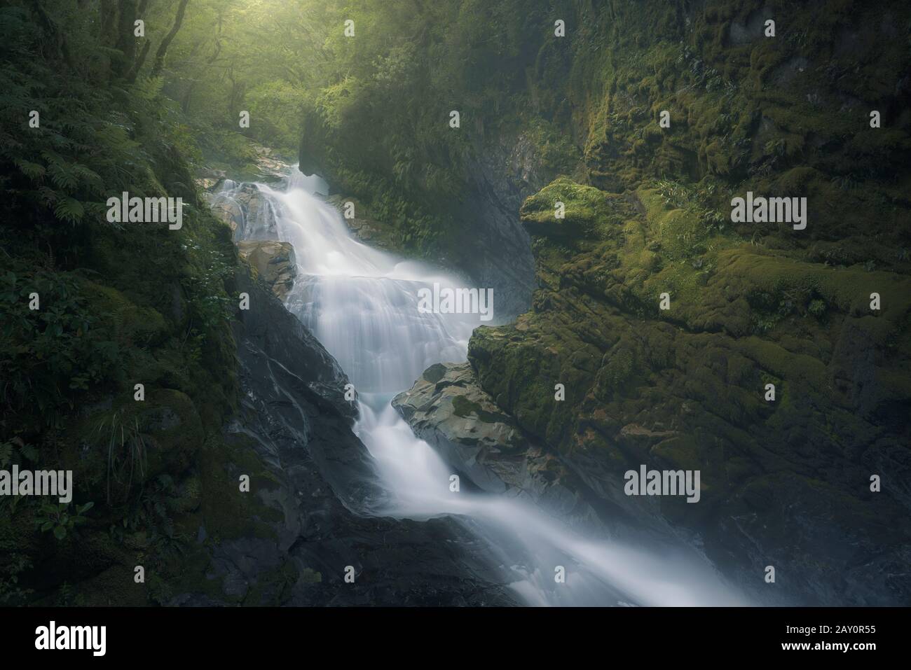Cascata in una foresta, Nuova Zelanda Foto Stock