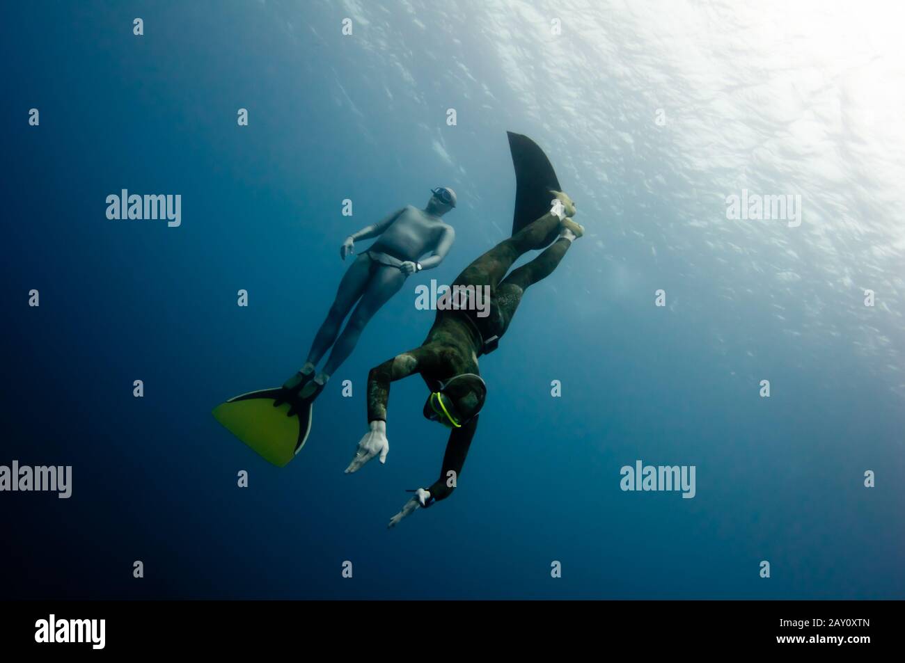 Due tuffatori liberi hanno divertimento nella profondità Foto Stock