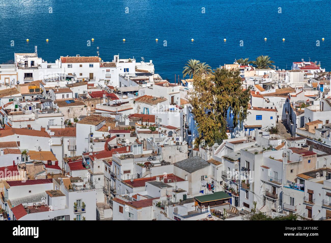 Dalt Vila città vecchia skyline, Ibiza, Isole Baleari, Spagna Foto Stock