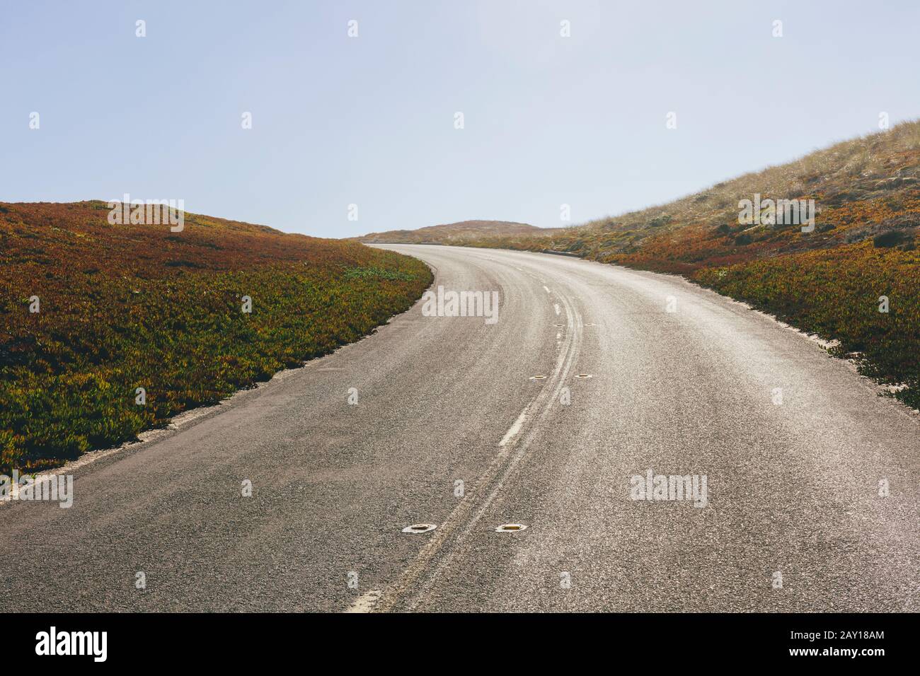 Point Reyes North Beach, Point Reyes National Seashore, California (le piante di ghiaccio sono un impianto invasivo e non nativo della California) Foto Stock