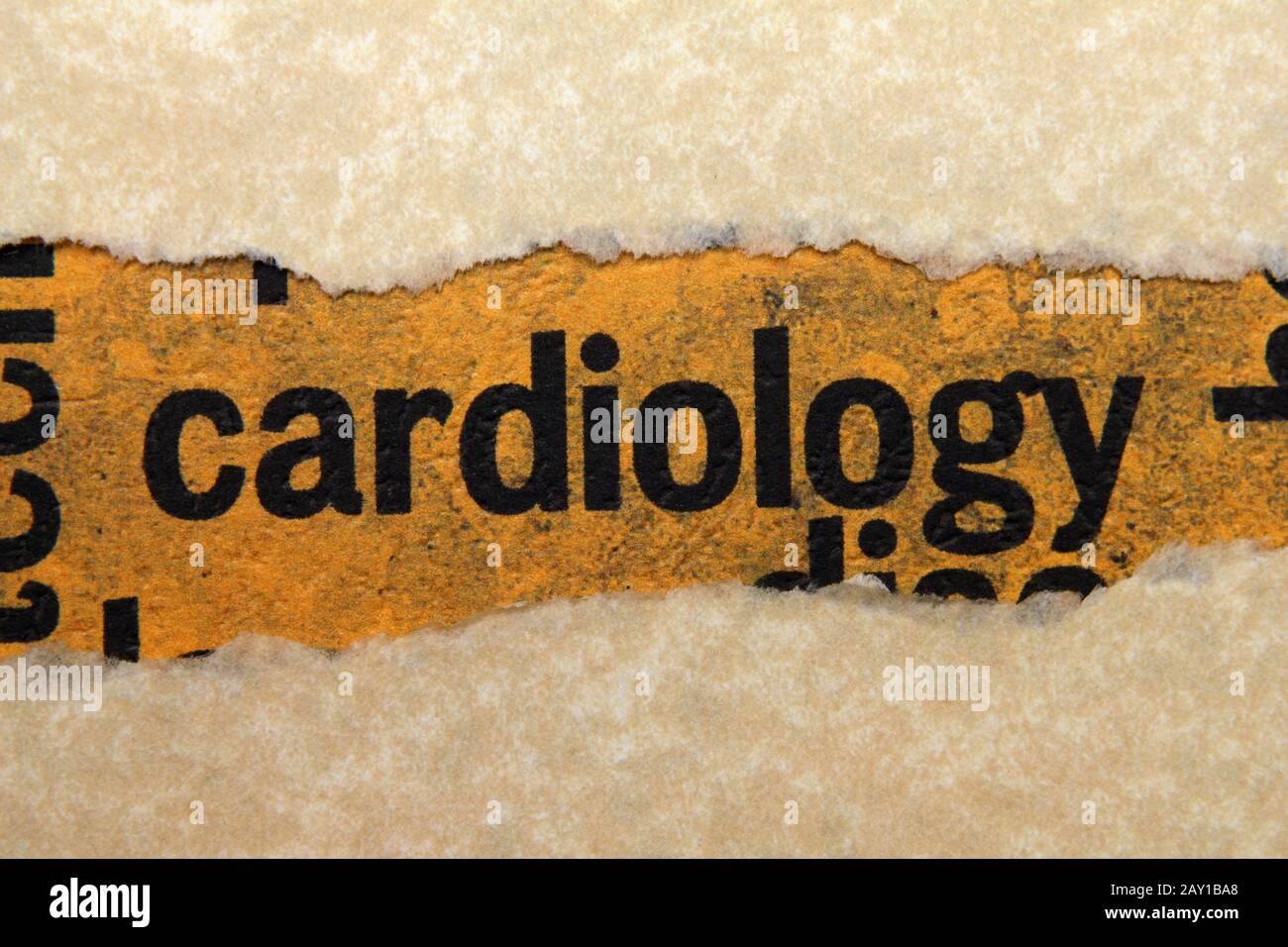 Cardiologia Foto Stock