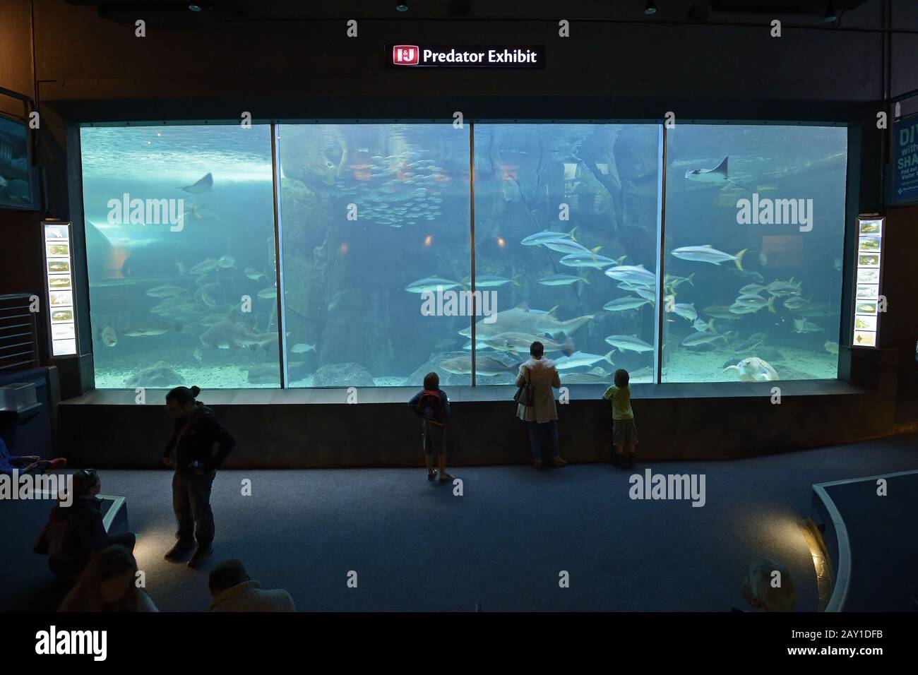 Vista interna del 2 Ocean Aquarium, Città del Capo, West Cape, Western Foto Stock