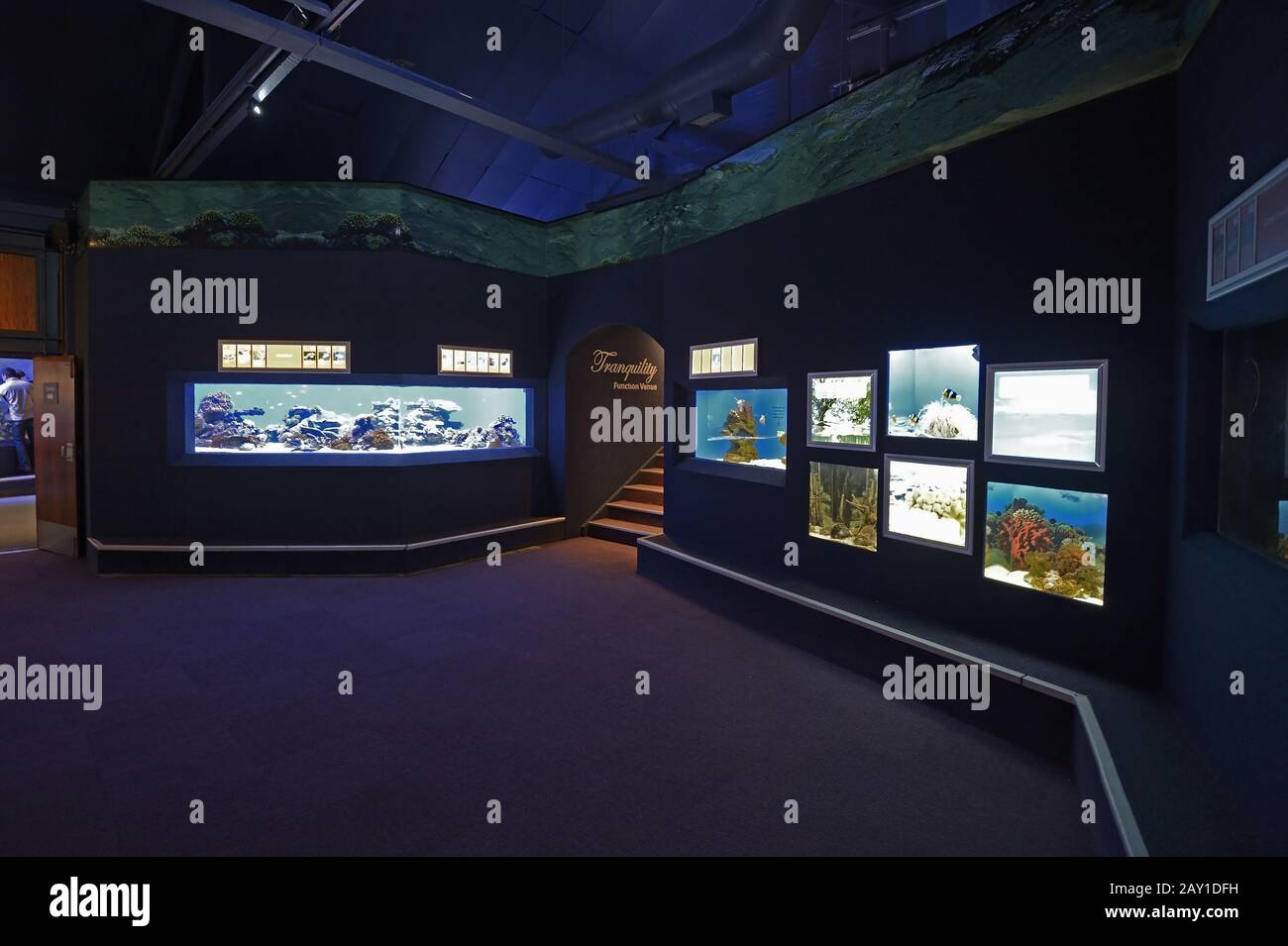 Vista interna del 2 Ocean Aquarium, Città del Capo, West Cape, Western Foto Stock