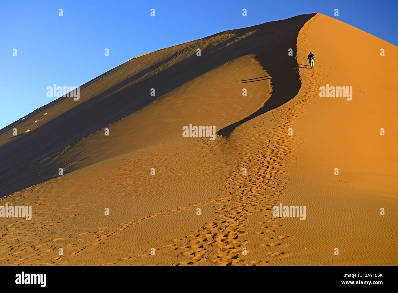 I turisti arrampicano Duene 45 nell'ultima luce serale, Namib Naukl Foto Stock