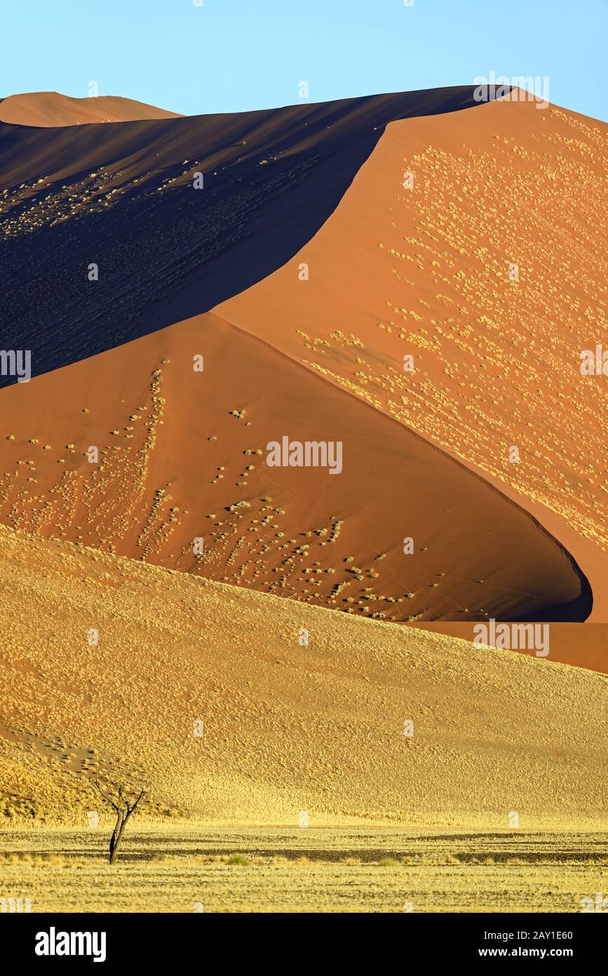Enormi dune di sabbia nell'ultima luce serale, Namib Naukluft Nation Foto Stock