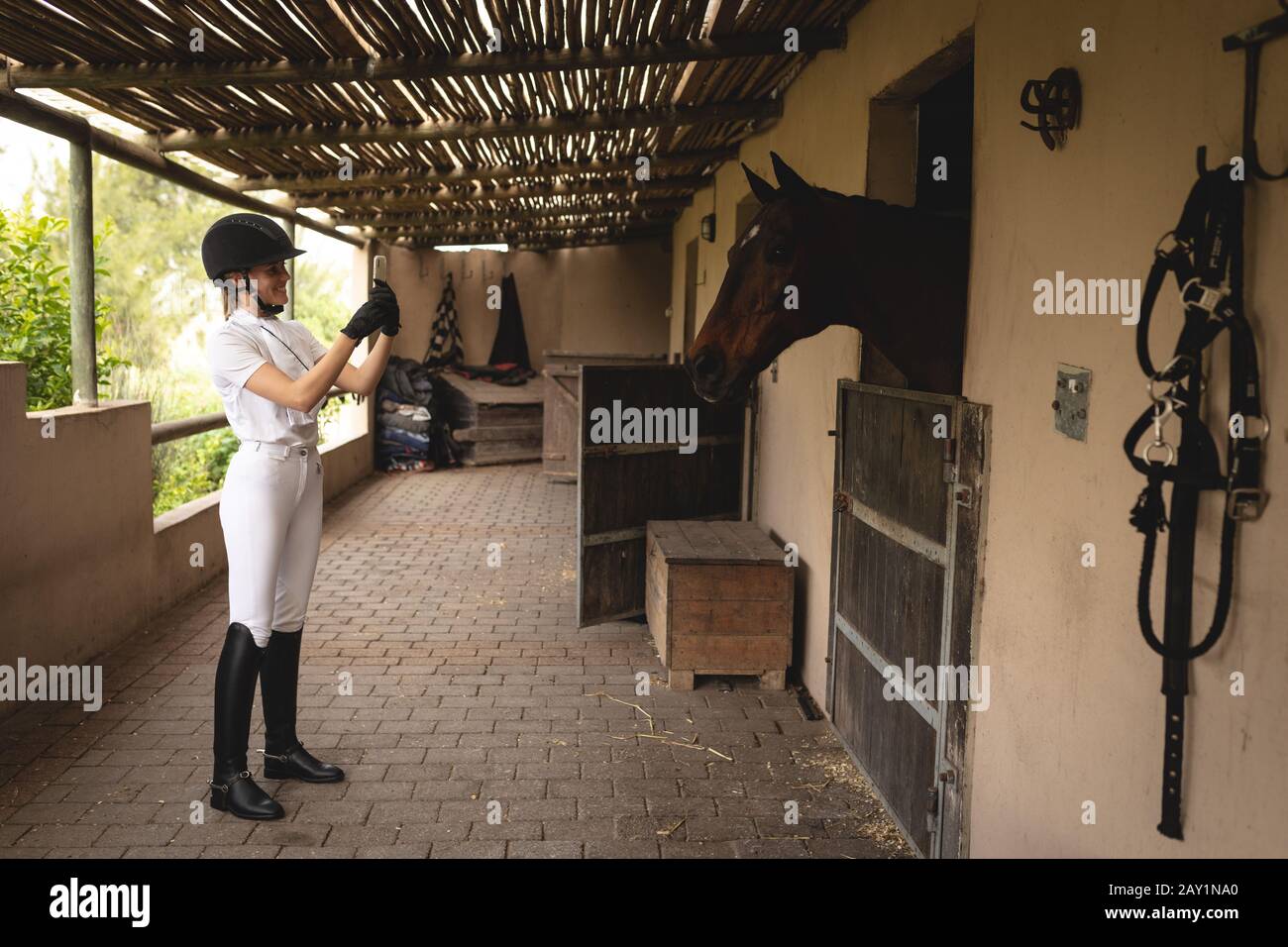 Donna caucasica fare un'immagine di lei mentre cavallo dressage in stabile Foto Stock
