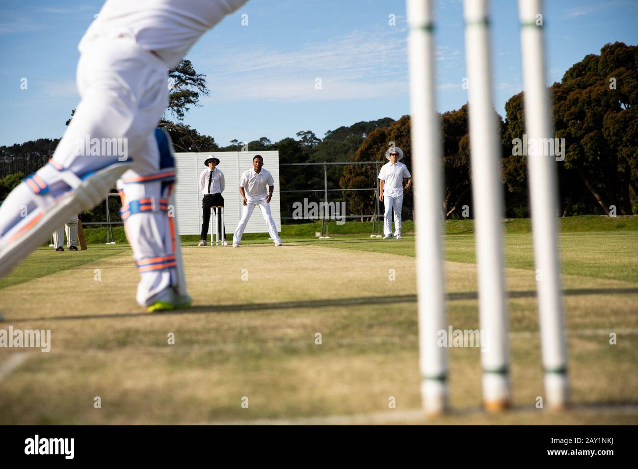 Cricket giocatori di allenamento in campo Foto stock - Alamy
