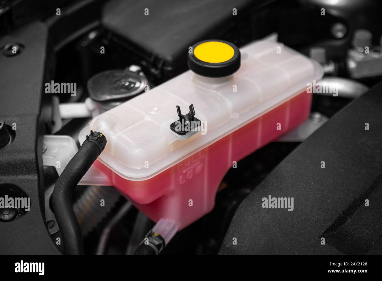 Close-up white il serbatoio di espansione con liquido antigelo rosa. Auto  di livello del liquido di raffreddamento nel sistema di radiatore in auto,  parte di autoveicolo Foto stock - Alamy