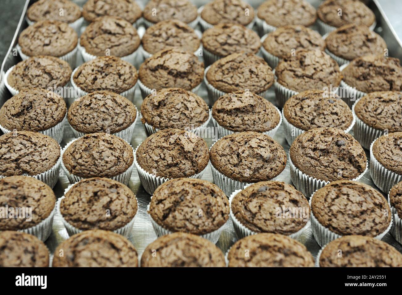 cupcake al cioccolato in contenitore di carta Foto Stock