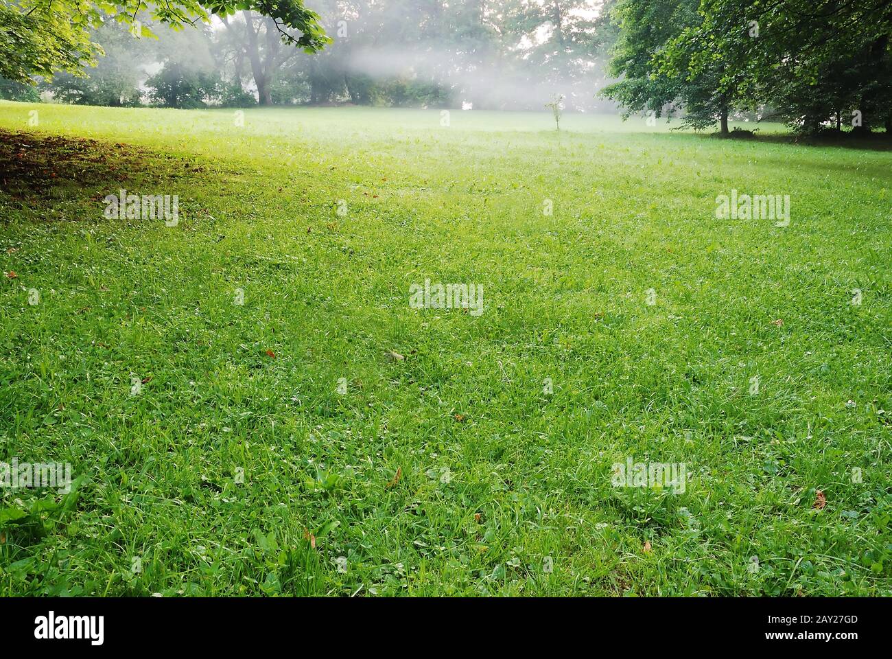 Impostazione bassa sun nel parco verde di colata ombre lunghe Foto Stock