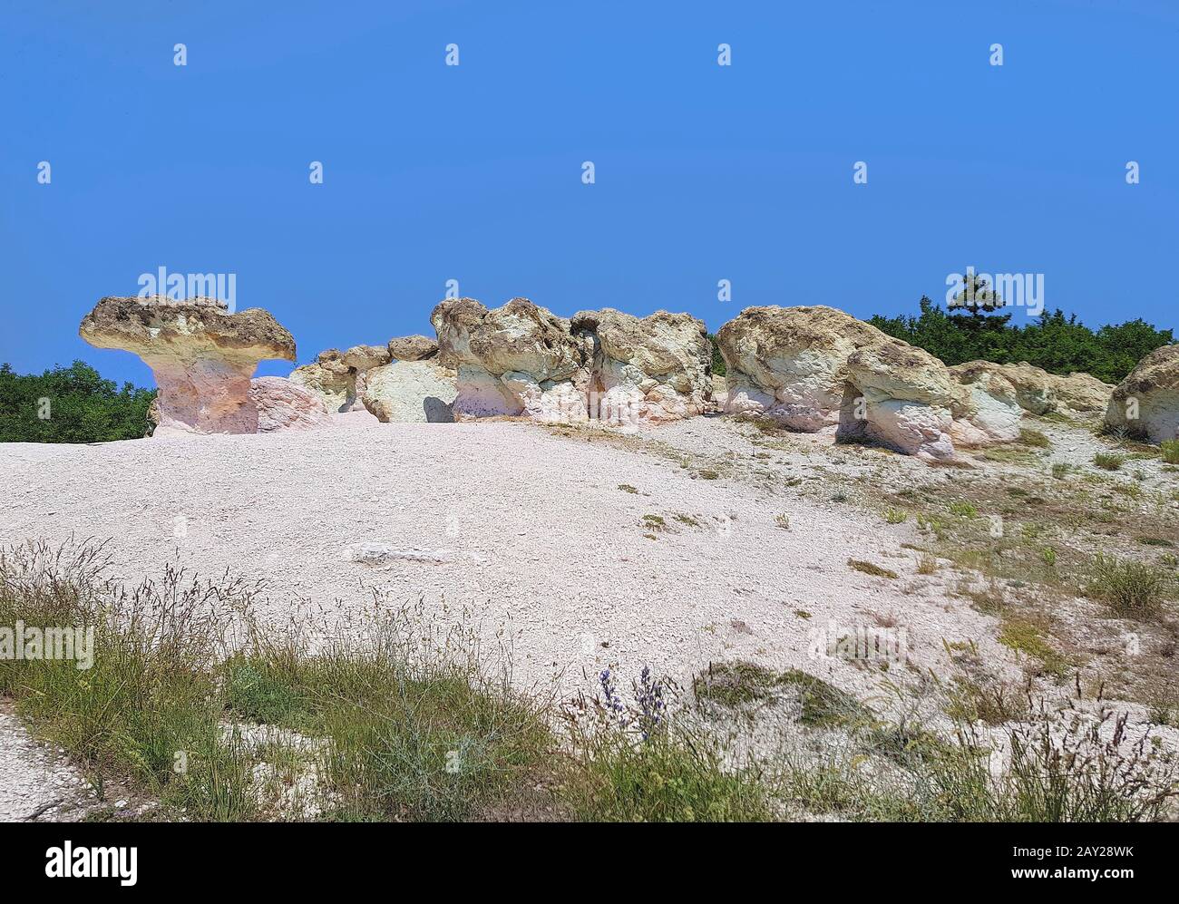 Bulgaria, fenomeno naturale pietre fungo rocce nel villaggio di Beli Plast Foto Stock