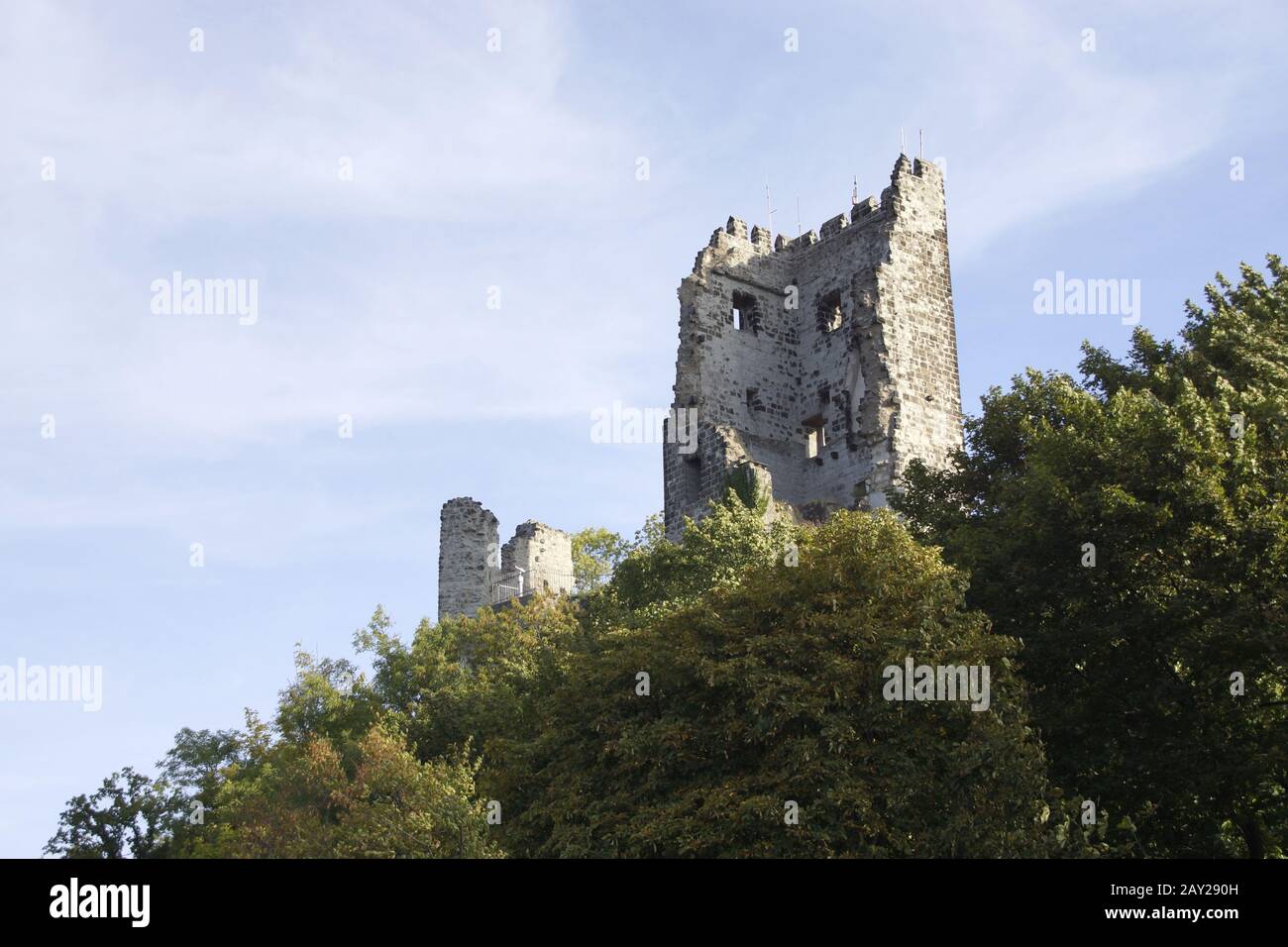 Castello-rovina Drachenfels, Siebengebirge, Koenigswin Foto Stock