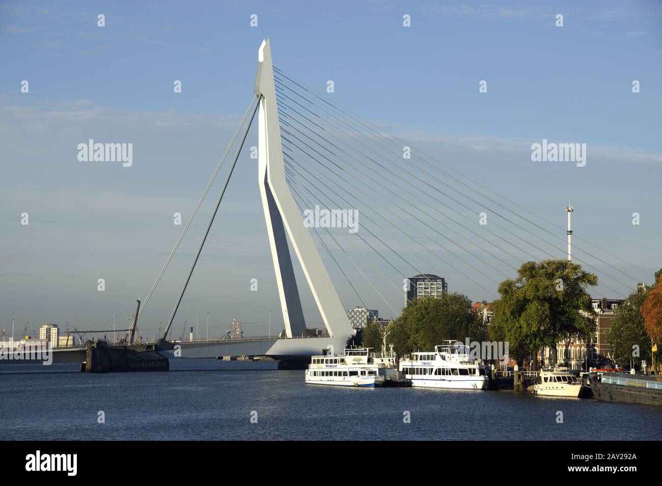 Erasmusbridge sul Nieuwe Maas a Rotterdam, N. Foto Stock