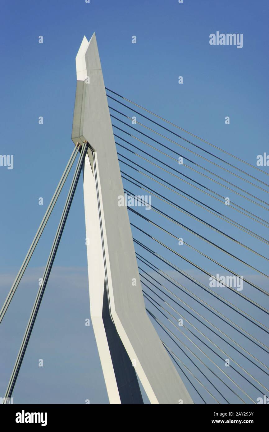 Erasmusbridge sul Nieuwe Maas a Rotterdam, N. Foto Stock