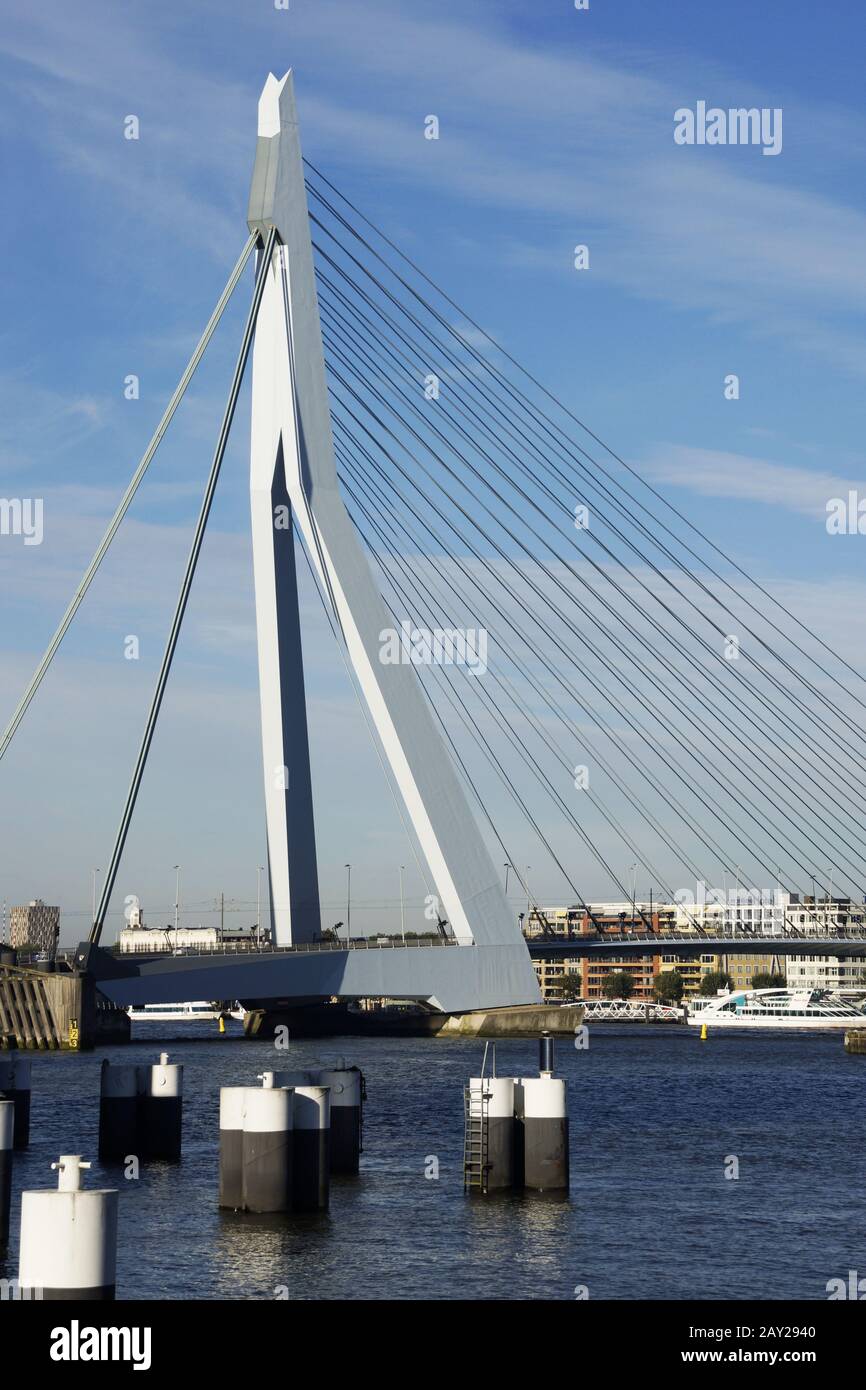 Erasmusbridge sul Nieuwe Maas a Rotterdam, N. Foto Stock