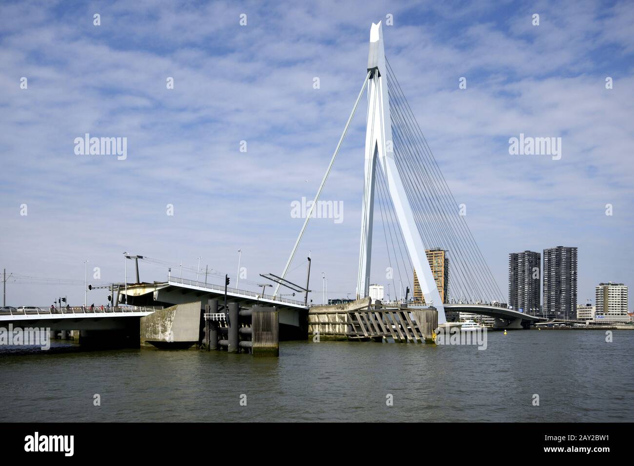 Erasmusbridge sul Nieuwe Maas a Rotterdam, N. Foto Stock