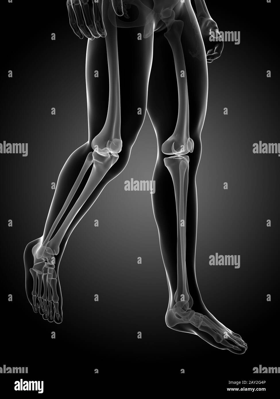 Rendering 3d Illustrazione medica - gambe scheletrico Foto Stock