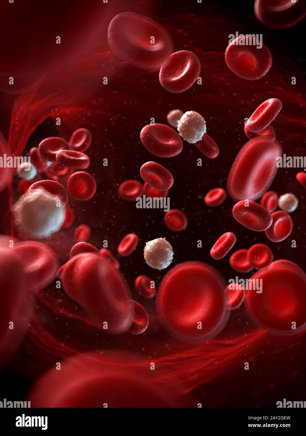 3d reso illustrazione del sangue umano Foto Stock