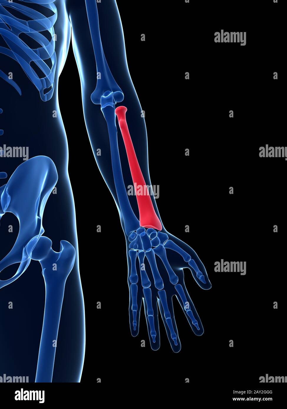 3d reso illustrazione - RADIUS Foto Stock