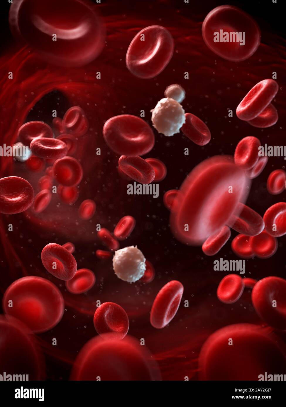 3d reso illustrazione del sangue umano Foto Stock