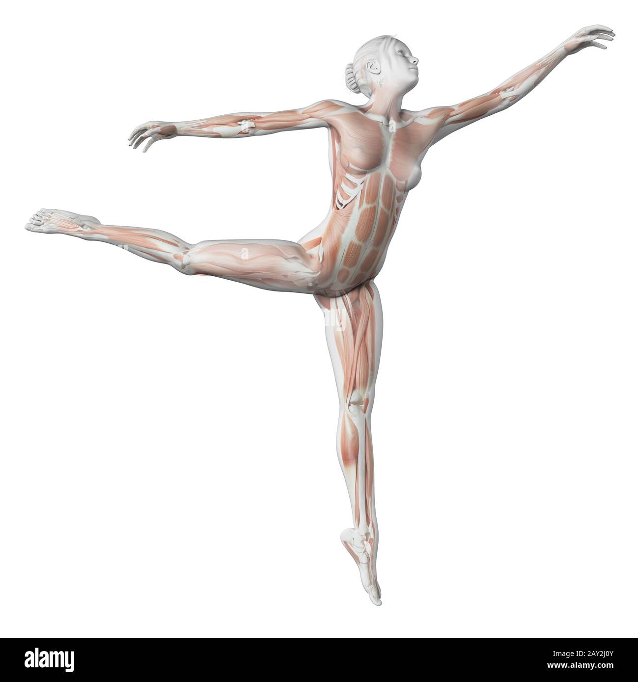 illustrazione in 3d - ballerina da balletto femminile Foto Stock