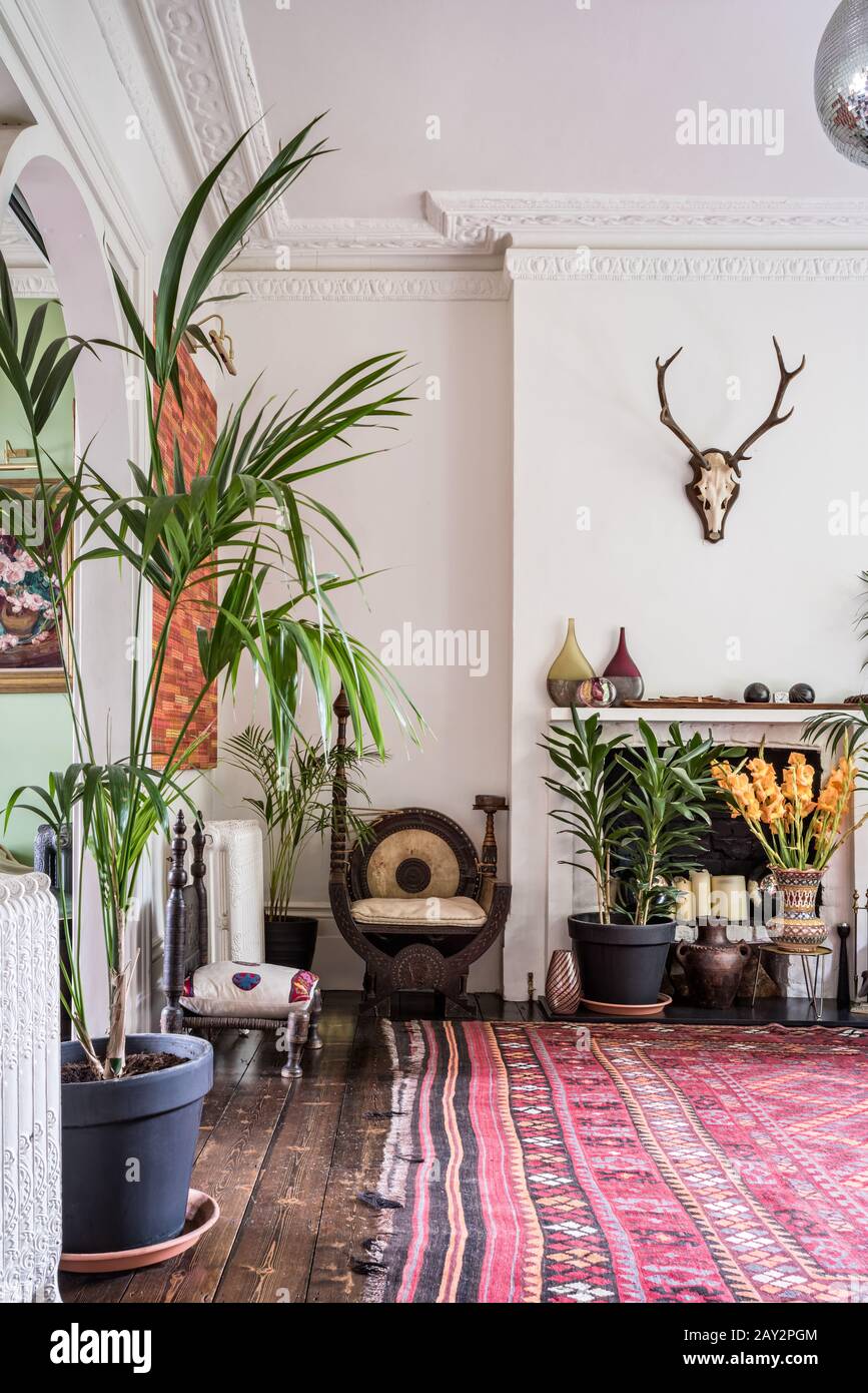 Piante in vaso nel soggiorno Foto Stock