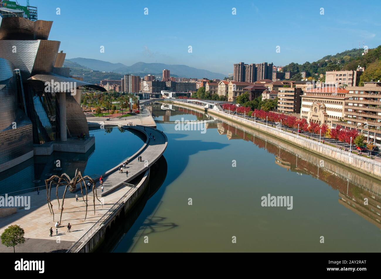 Vista del museo Guggenheim di Bilbao, il MAMAN Spider accanto al fiume Foto Stock