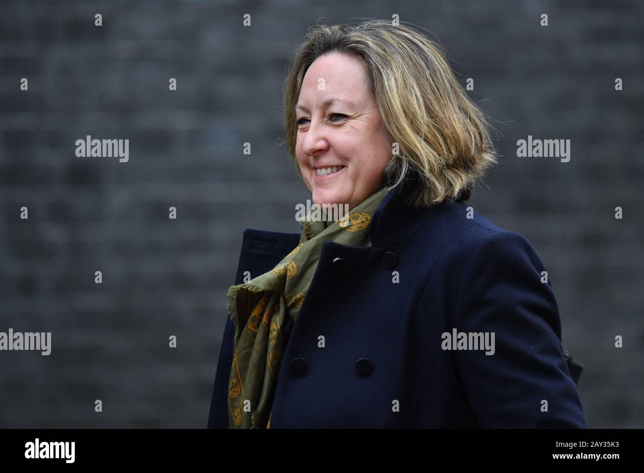 Downing Street, Londra, Regno Unito. 14th febbraio 2020. Anne-Marie Trevelyan Mp, Segretario Di Stato Per Lo Sviluppo Internazionale, Segretario Di Sviluppo Internazionale A Downing Street. Credito: Malcolm Park/Alamy Live News. Foto Stock