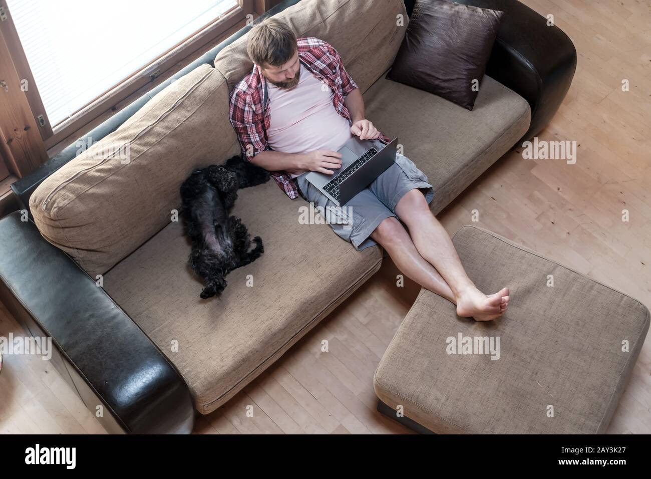 L'uomo lavora con un computer portatile, è seduto su un morbido divano, accanto a lui del suo cane Schnauzer sta dormendo con lo stomaco al piano superiore. Foto Stock