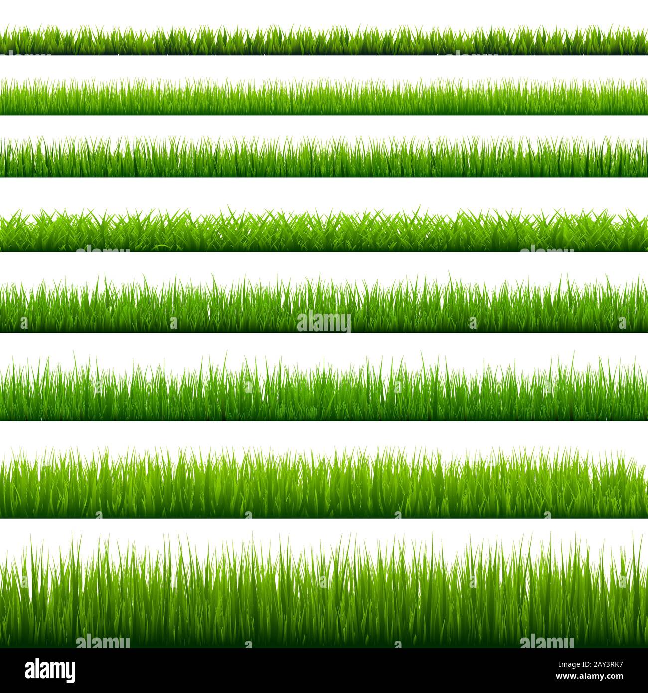 Raccolta dei bordi dell'erba. Verde prato natura sfondo. Elemento di design della carta di Pasqua. Illustrazione del vettore. Illustrazione Vettoriale