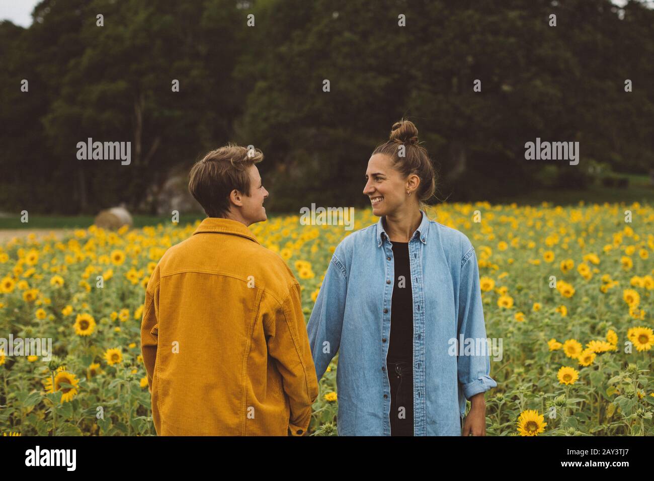 Coppia sul campo di girasole in fiore Foto Stock