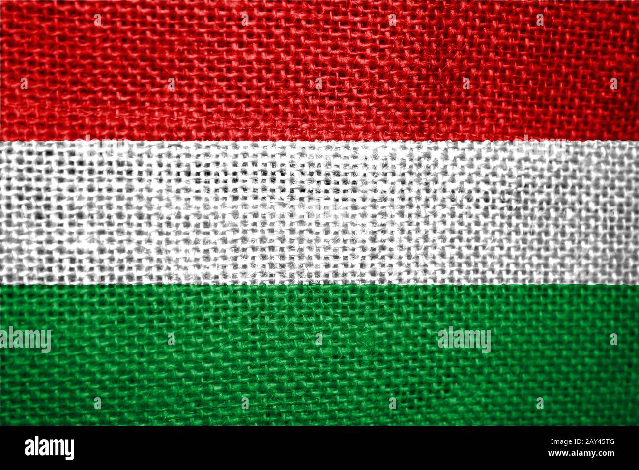 bandiera dell'Ungheria Foto Stock