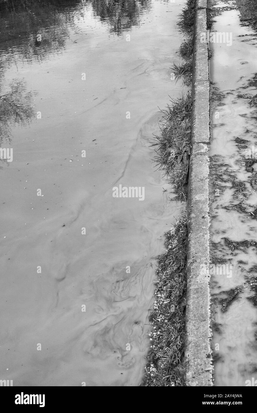 Grande pudle nuvoloso su pista di campagna allagata, con erbacce sommerse e riflessi nell'acqua. Fangoso le acque idioma, acqua torbida, mancanza di chiarezza Foto Stock