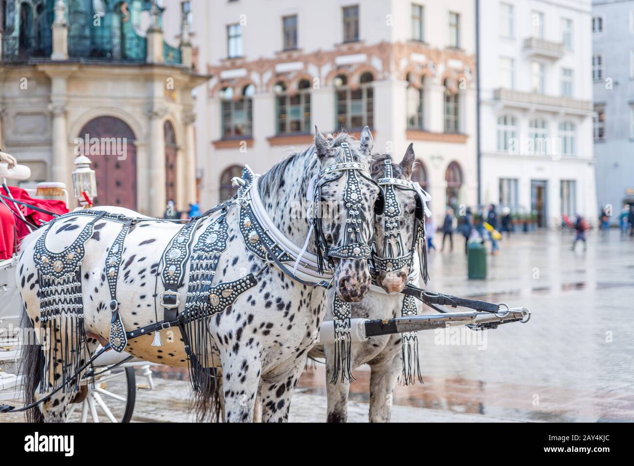 Carrozza a cavalli a Cracovia, Polonia Foto Stock