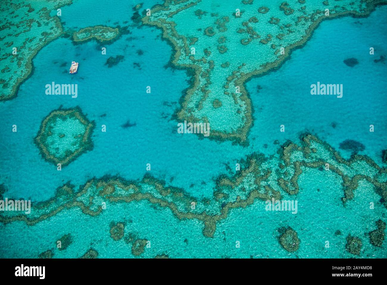 Naturale di grande barriera corallina nel Queensland. Vista aerea del paradiso naturale con colori magnifici. Foto Stock