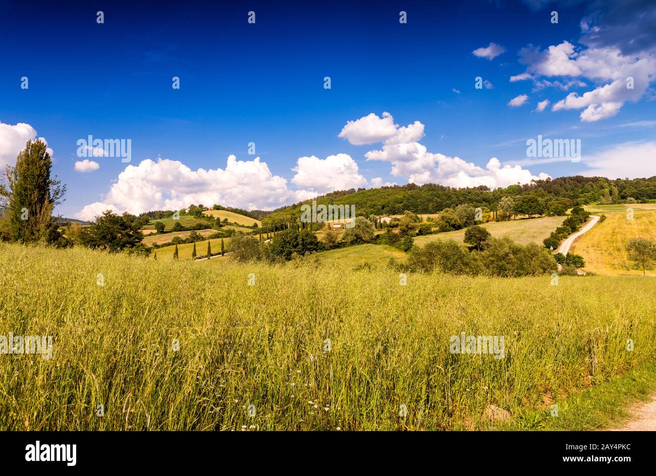 Toscana. Colline in primavera, Italia. Foto Stock