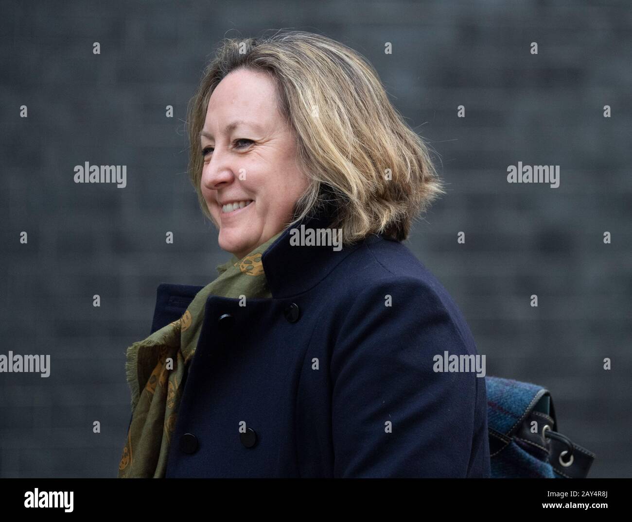 Downing Street, Londra, Regno Unito. 14th febbraio 2020. Anne-Marie Trevelyan Mp, Segretario Di Stato Per Lo Sviluppo Internazionale, Segretario Di Sviluppo Internazionale A Downing Street. Credito: Malcolm Park/Alamy. Foto Stock