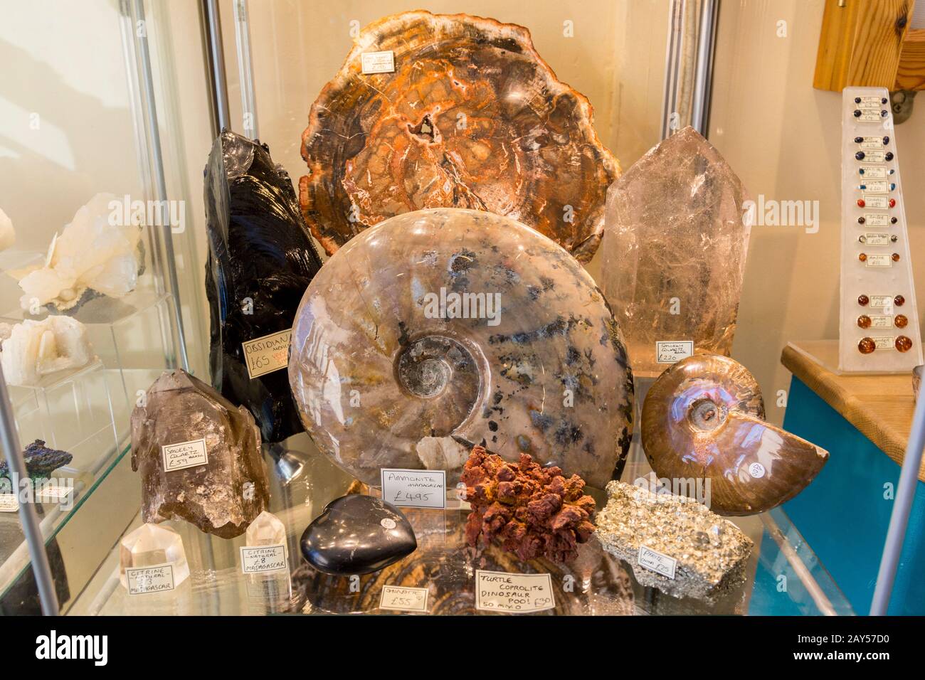 Un assortimento di fossili decorativi e cristalli di tutte le dimensioni in vendita in un negozio di fossili Lyme Regis, Dorset, Inghilterra, Regno Unito Foto Stock