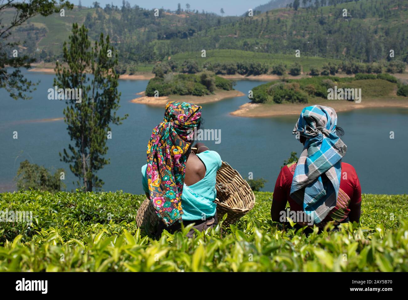 Due donne che starring del tè ad un lago durante la pausa. Foto Stock