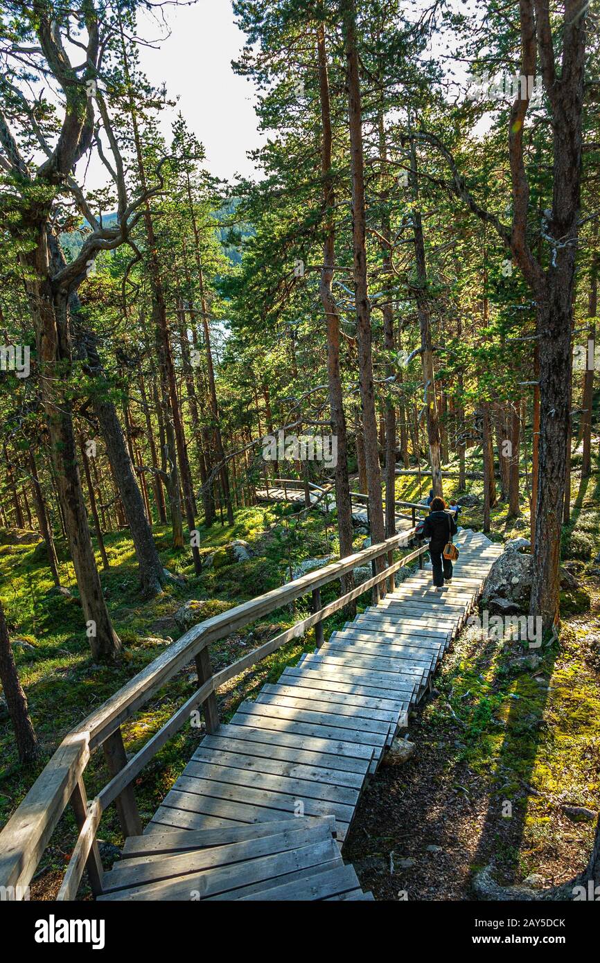 Pietra da Karhunpesäkivi dell'orso. Inari, Finlandia Foto Stock